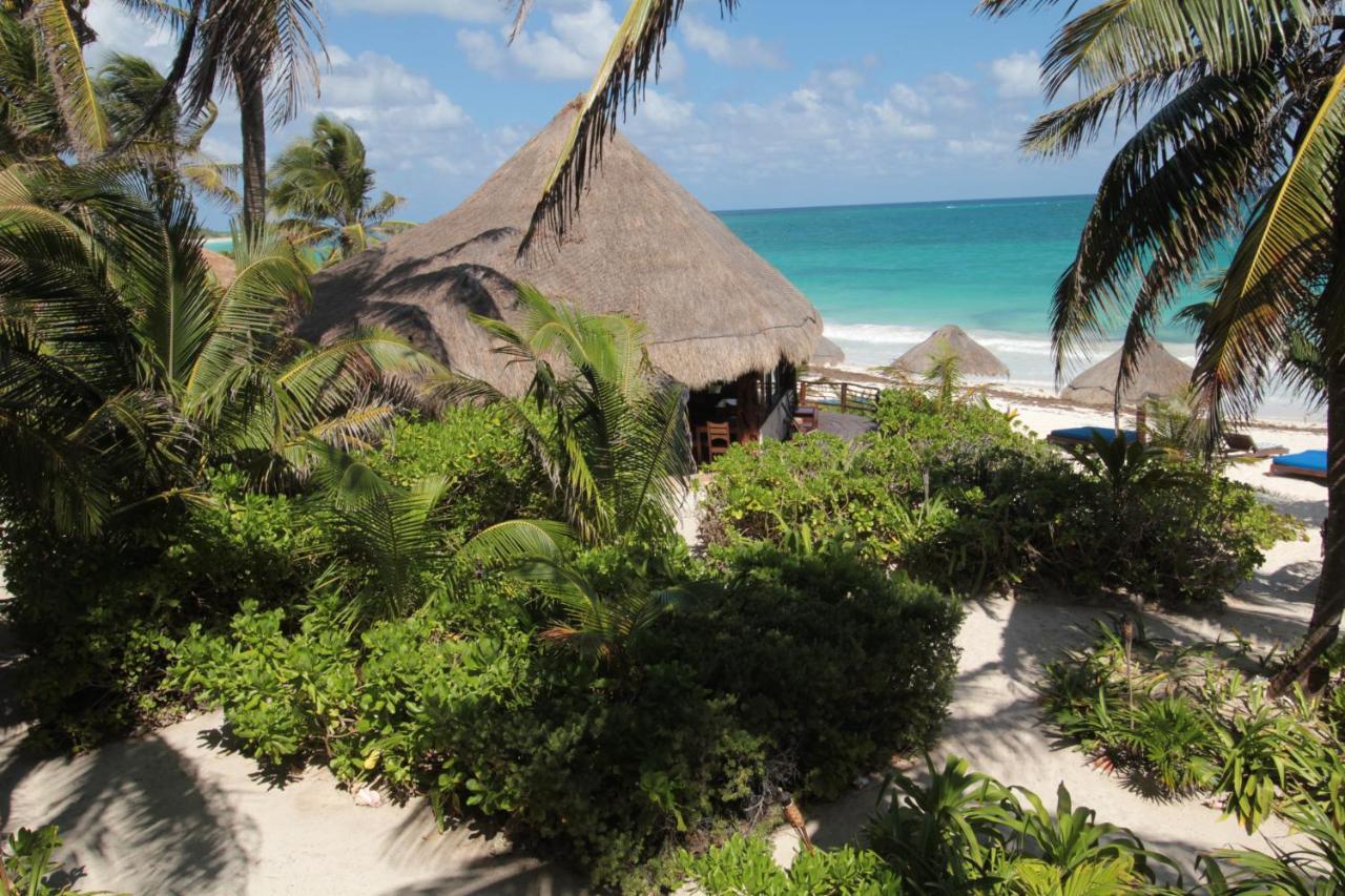 Sol Caribe Hotel ปุนตา อัลเลน ภายนอก รูปภาพ