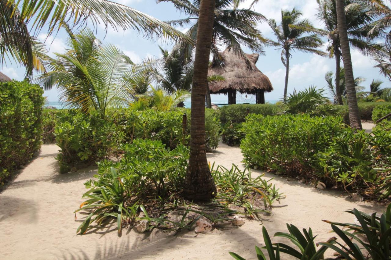 Sol Caribe Hotel ปุนตา อัลเลน ภายนอก รูปภาพ