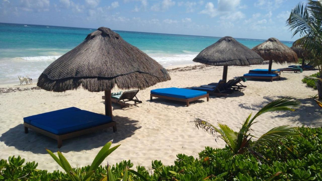 Sol Caribe Hotel ปุนตา อัลเลน ภายนอก รูปภาพ