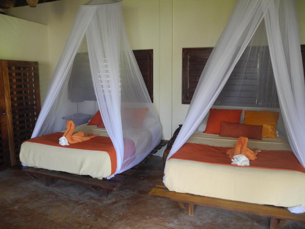 Sol Caribe Hotel ปุนตา อัลเลน ห้อง รูปภาพ