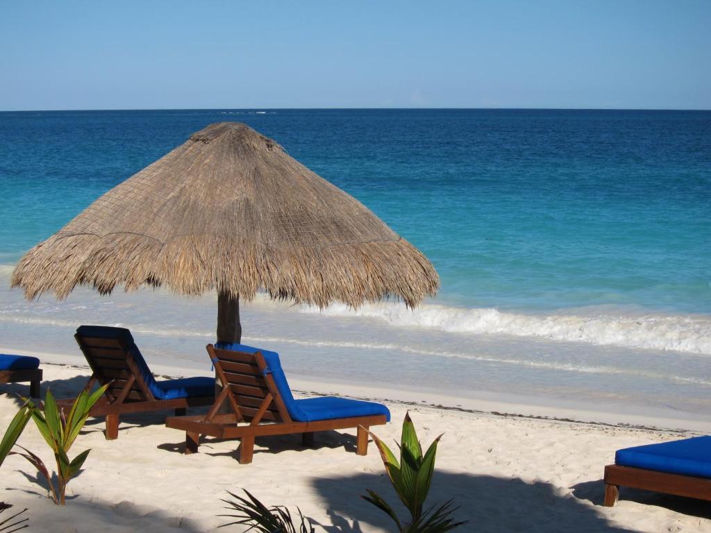 Sol Caribe Hotel ปุนตา อัลเลน ภายนอก รูปภาพ