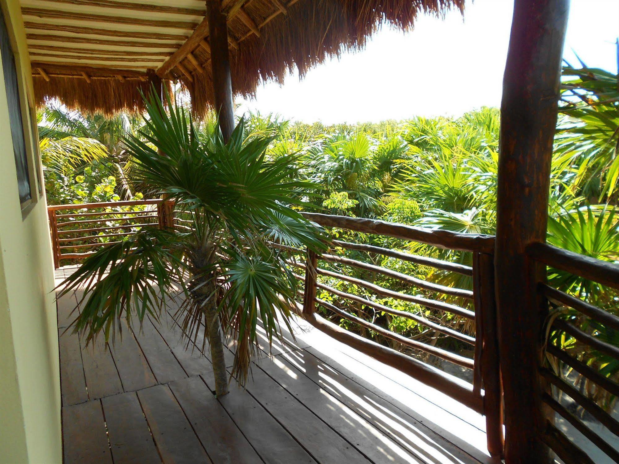 Sol Caribe Hotel ปุนตา อัลเลน ภายนอก รูปภาพ