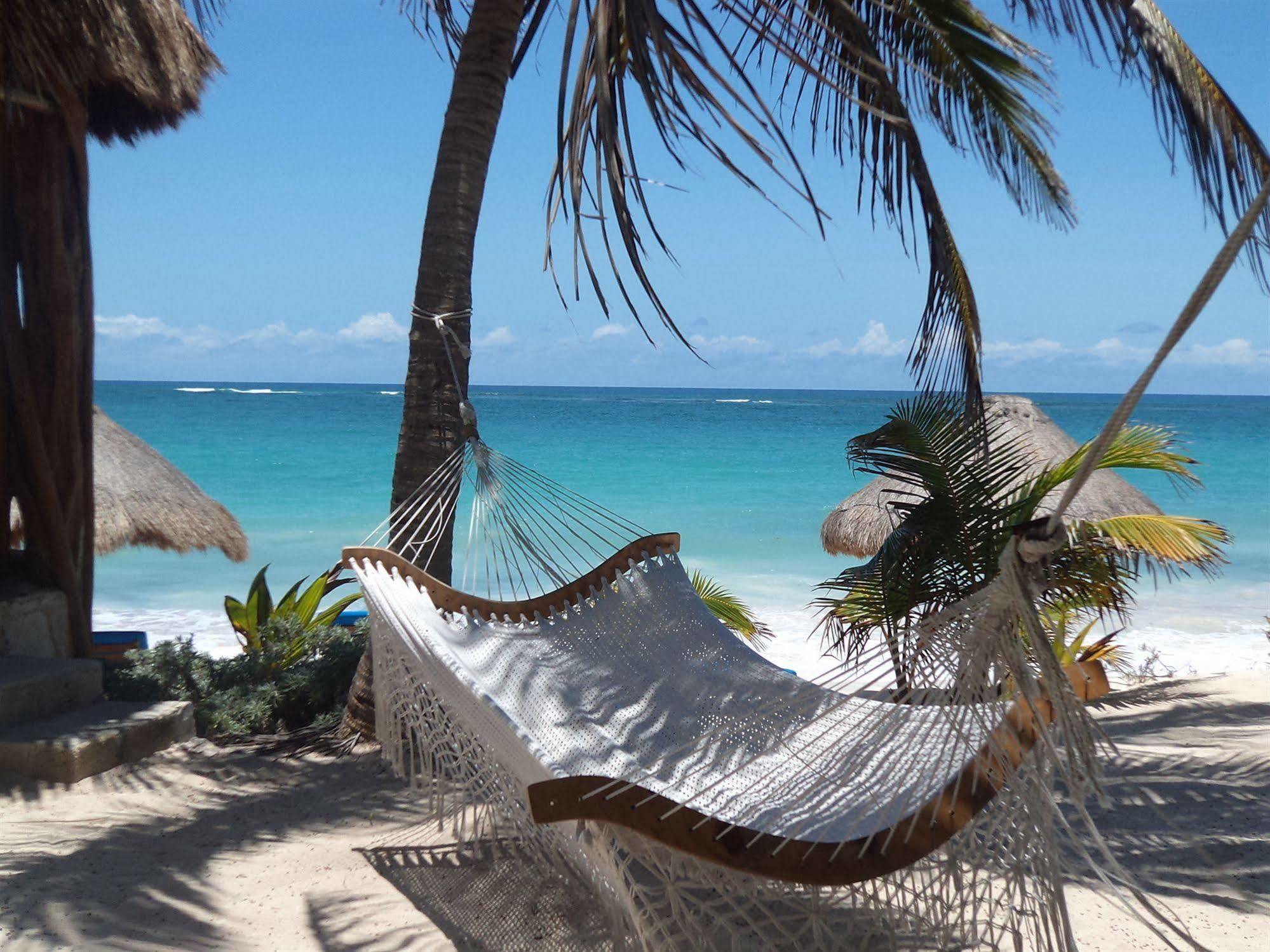 Sol Caribe Hotel ปุนตา อัลเลน ภายนอก รูปภาพ